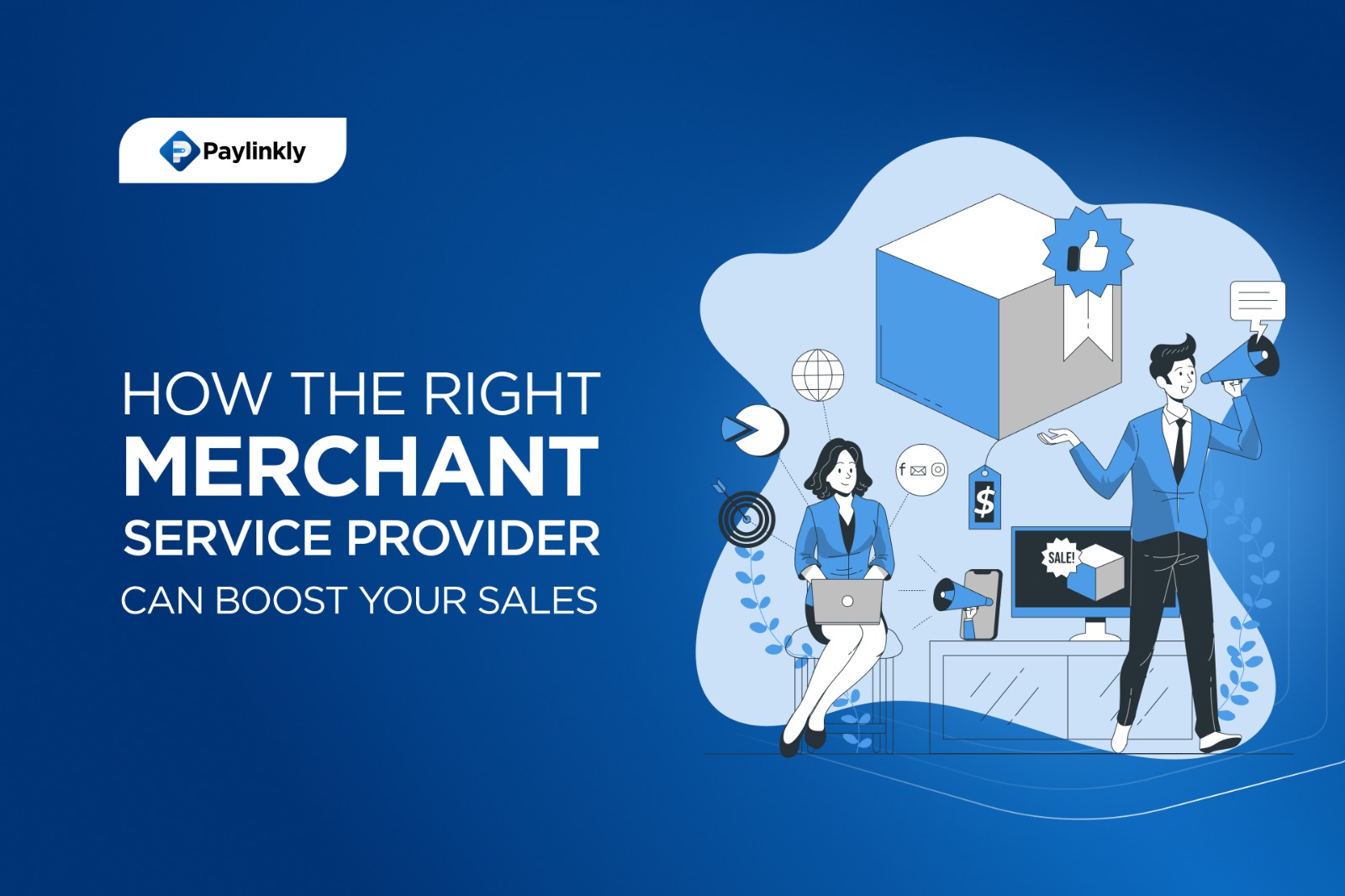Merchant Service Provider